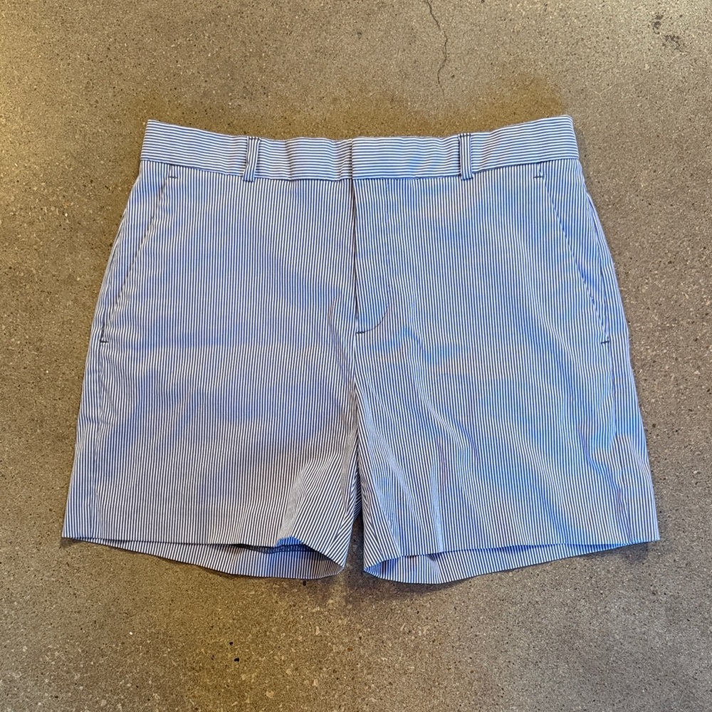 Banana Republic Light Blue Striped Men's Shorts